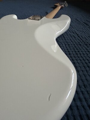 IMG_7934.jpeg