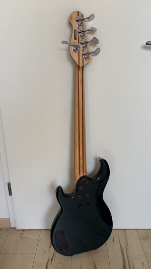 IMG_7849.jpeg