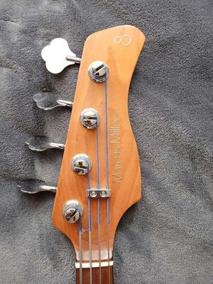 Bass 4.jpg
