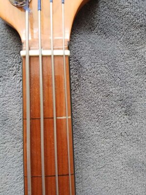 Bass 5.jpg