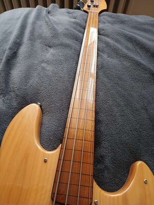 Bass 6.jpg