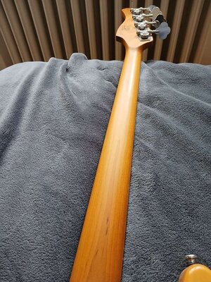 Bass 7.jpg