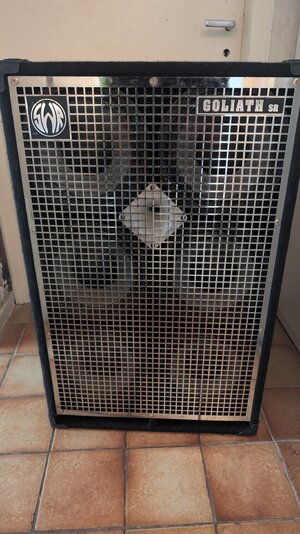 SWR Goliath Senior 6x10