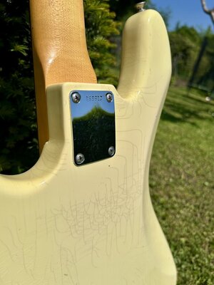 IMG_8061.jpeg