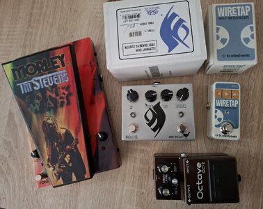 Wren and Cuff Elephant Skin (Troy Sanders), Boss OC-2 black label, TCE Wiretap & TM Stevens wah