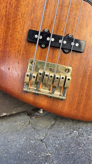 IMG_2461.jpeg