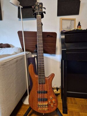 Tausche Warwick Streamer LX 5 Custom Shop (2013)