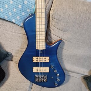Aquilina Shelby 4 Saiten