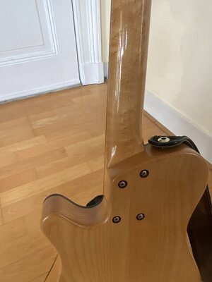 IMG_6911.jpeg