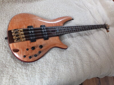 DSCF1470.JPG