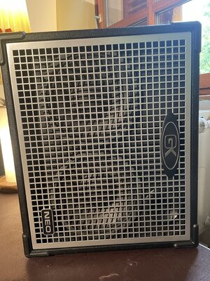 Gallien-Krueger Neo 210