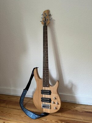 Bass 5 Saiter