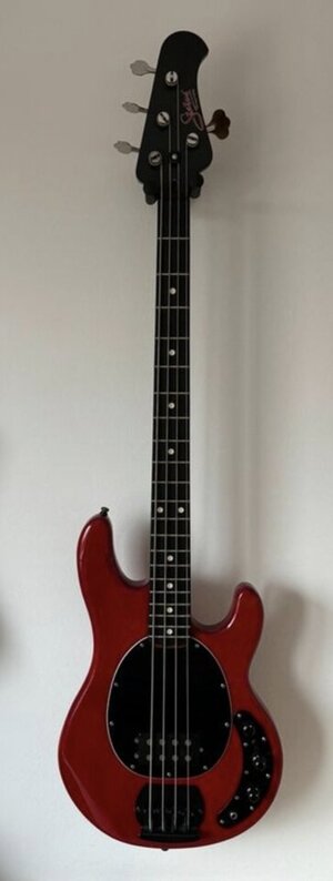Custom Stingray / Status Graphit / D -Tuner / Bassculture