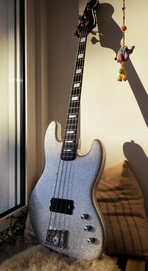 Custom Active Flea Bass - Moses Graphit / Aguilar / MEC