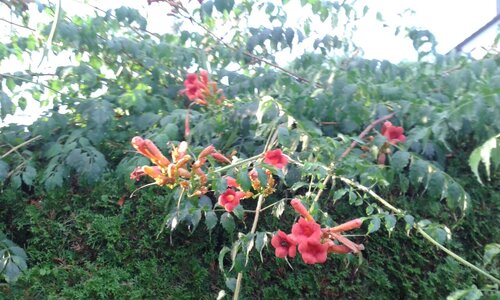 20150815_071513.jpg