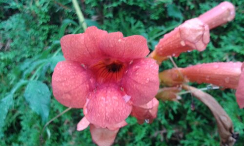 20150815_071549.jpg