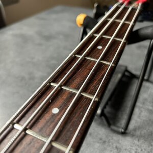 IMG_7806.JPEG