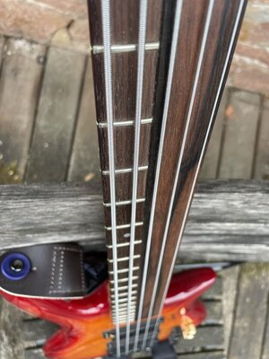 Steinberger XZ Fretted/Fretless