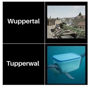 1000030638.png