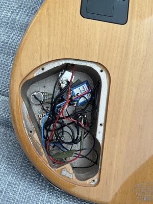 IMG_7429.jpeg