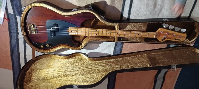 20250417_191303.jpg