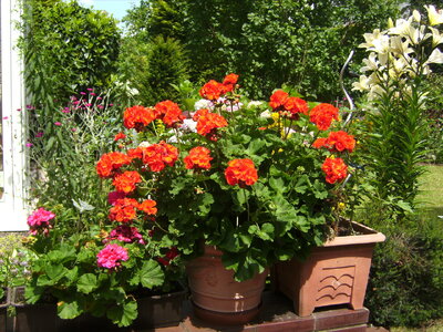 2024-06-23 (10).JPG