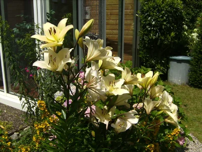 2024-06-23 (11).webp