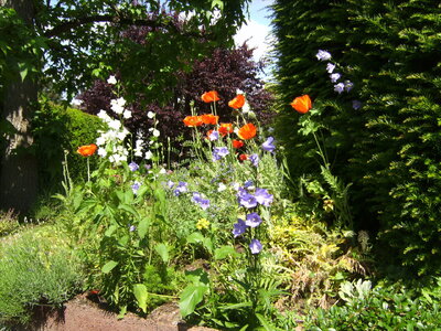 2024-05-23 (9).JPG