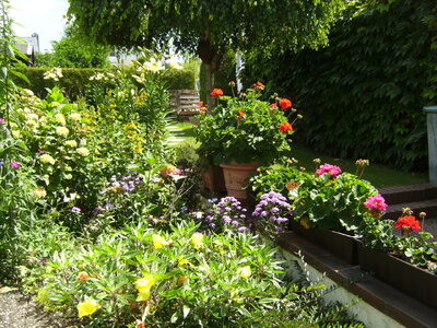 2024-06-13 (12).JPG