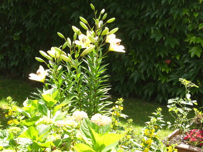 2024-06-13 (27).JPG