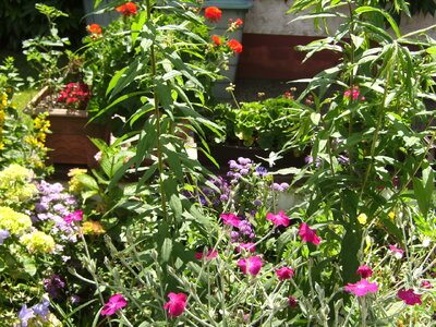 2024-06-13 (28).JPG