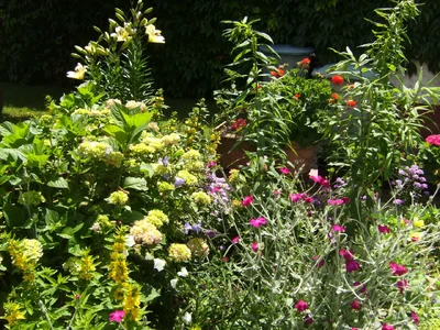 2024-06-13 (26).webp