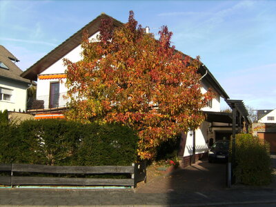 Amberbaum_082.jpg
