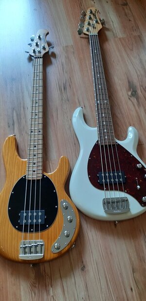 2xstingray-special.jpg