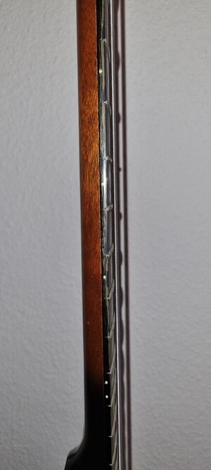 20250216_171159.jpg