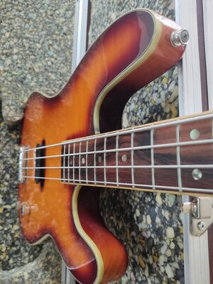 Ansicht stehend im Koffer.jpg