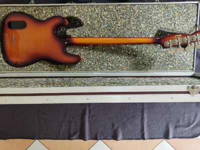 Gesamtansicht Rückseite im Koffer.jpg