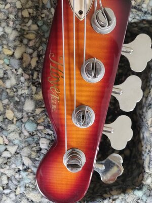 Kopfplatte von vorne mit Logo.jpg