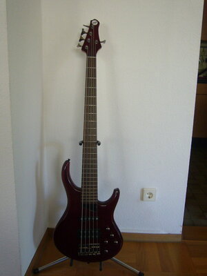 MTD_Kingston_Heir_rot2.JPG
