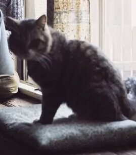IMG_4123.jpeg