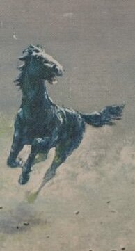 IMG_4120.jpeg