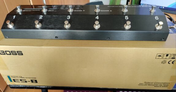 Boss_ES-8_03.jpg