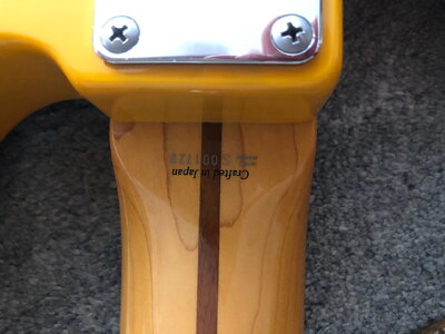 Fender p bass 51 reissue - 6.jpeg Fender p bass 51 reissue - 6.jpeg