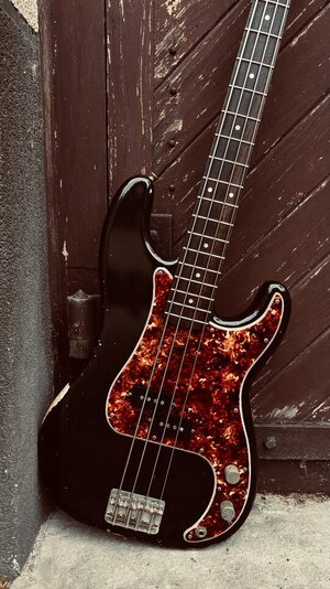 IMG_3269.jpeg