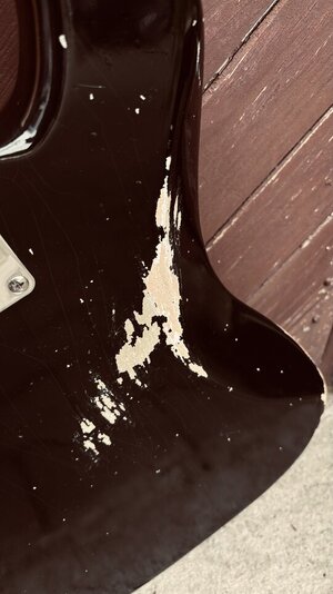 IMG_3281.jpeg