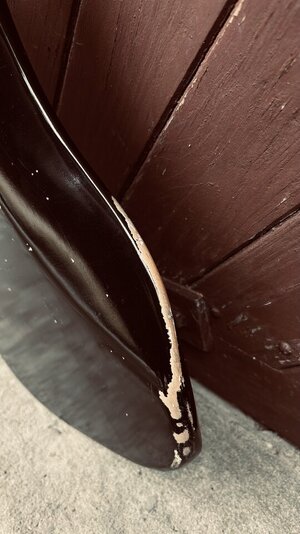 IMG_3283.jpeg