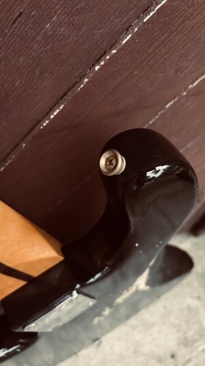IMG_3280.jpeg