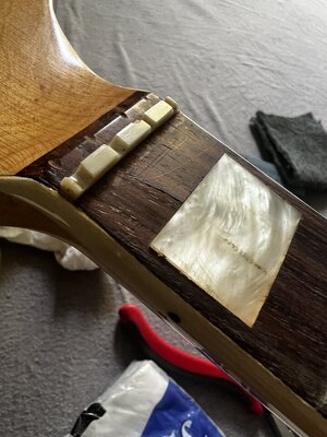 IMG_2039.jpeg