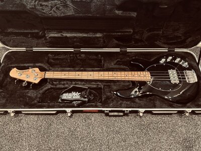 Musicman Stingray 4 String Roasted Maple