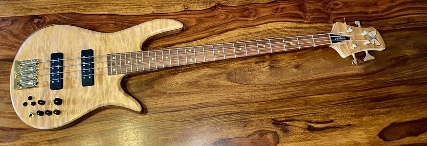 Fodera Monarch Deluxe 4 C Quilt Maple 35th Anniversary NEUWERTIG